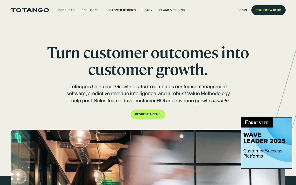 Totango website preview