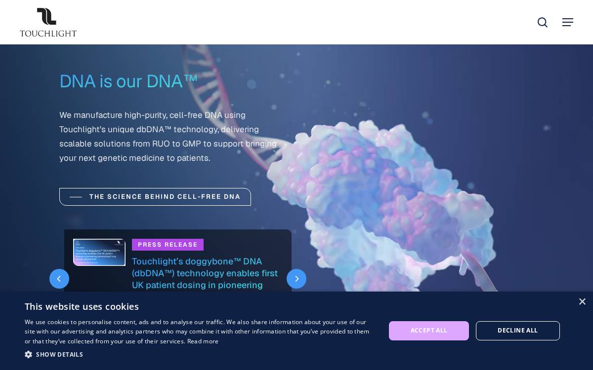 Touchlight website preview