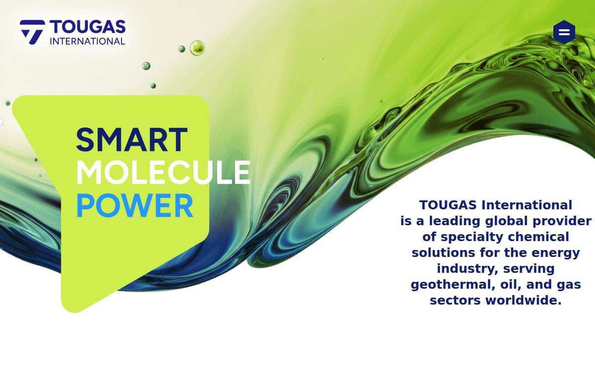 Tougas website preview