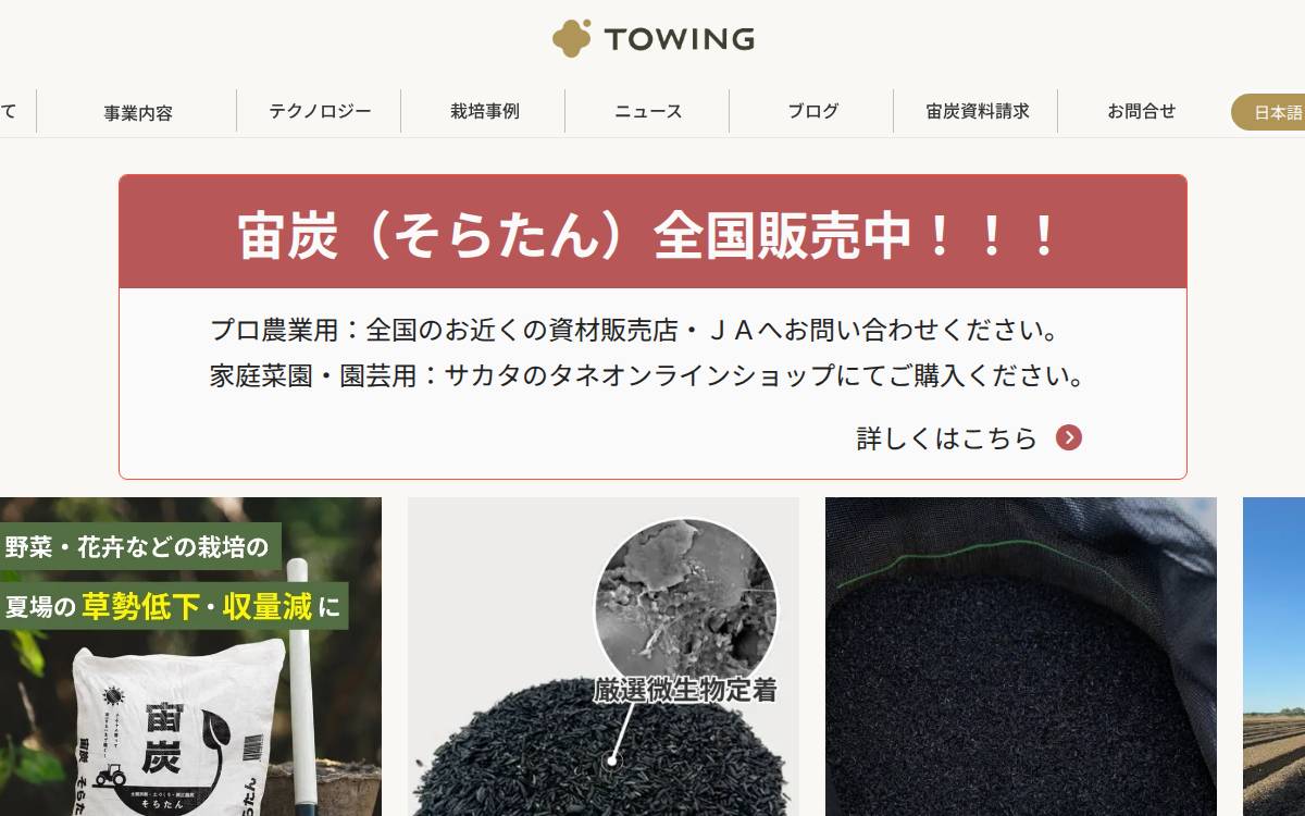 TOWING website preview