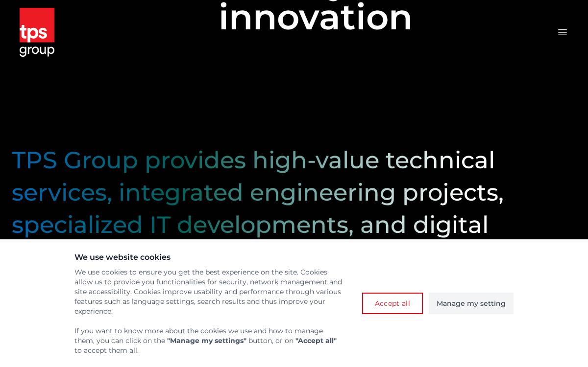 TPS Group website preview