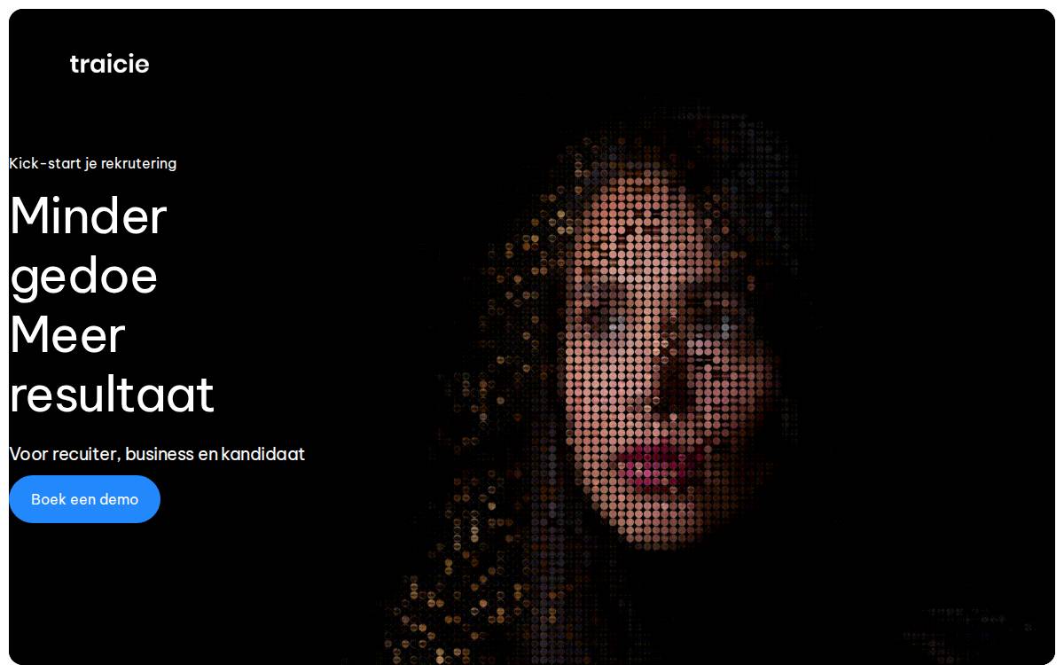 Traicie website preview