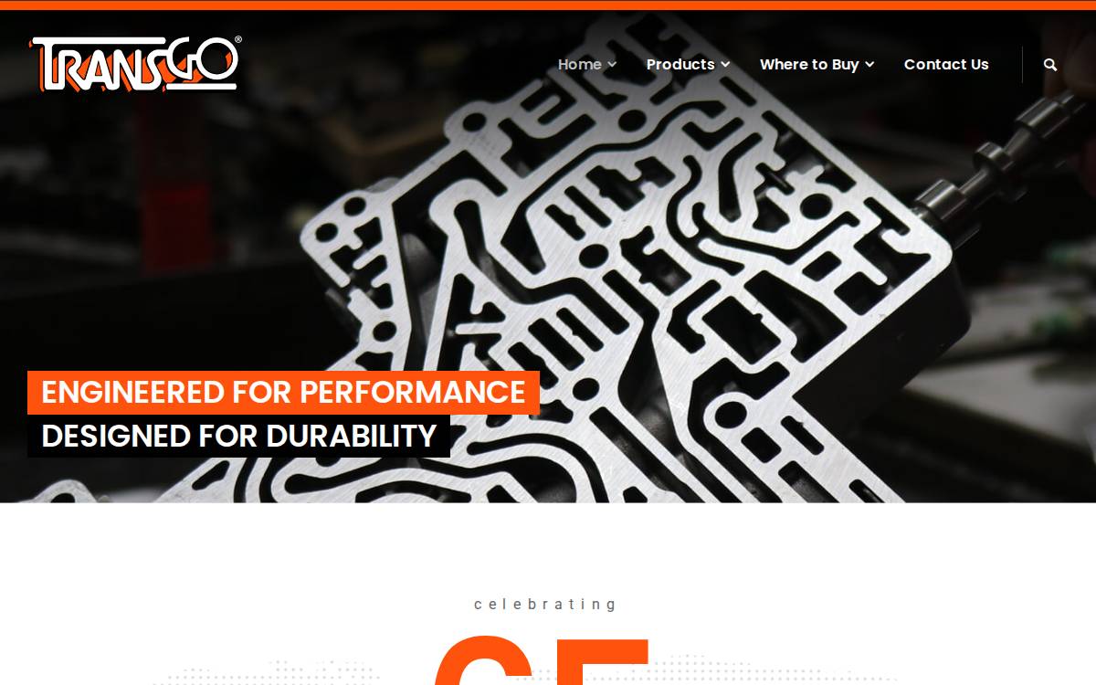 TRANSGO website preview