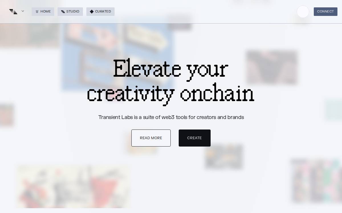 Transient Private website preview