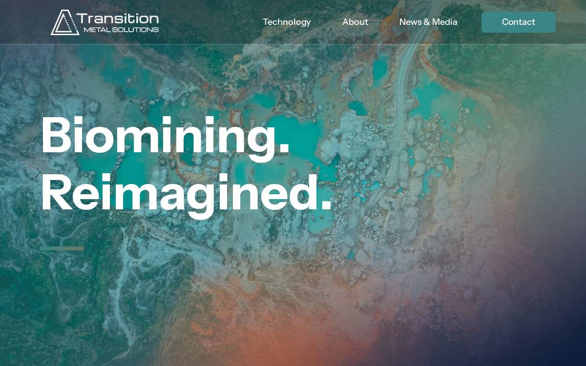 Transition website preview