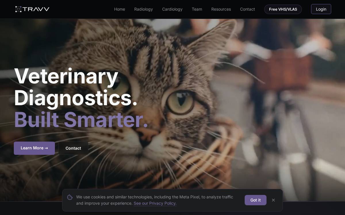 Travv website preview
