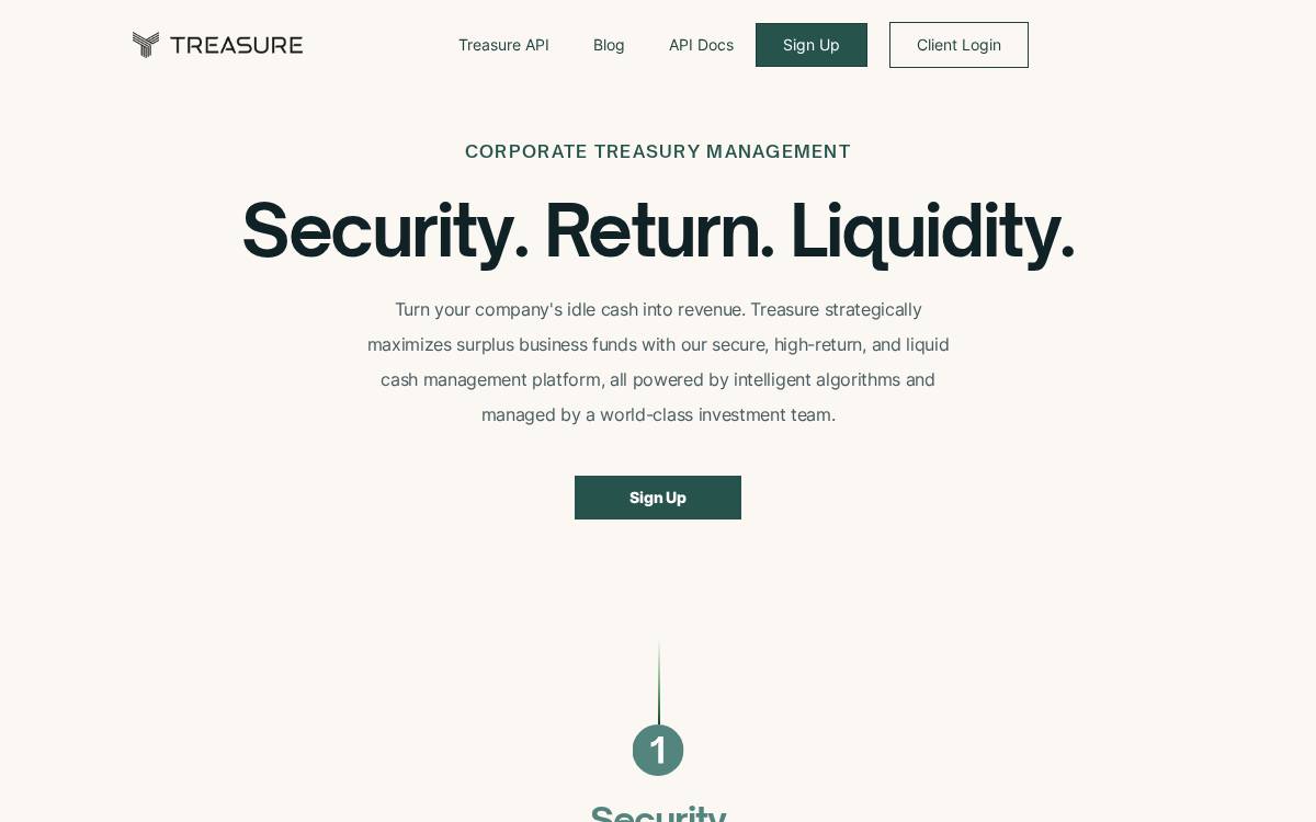 Treasure website preview