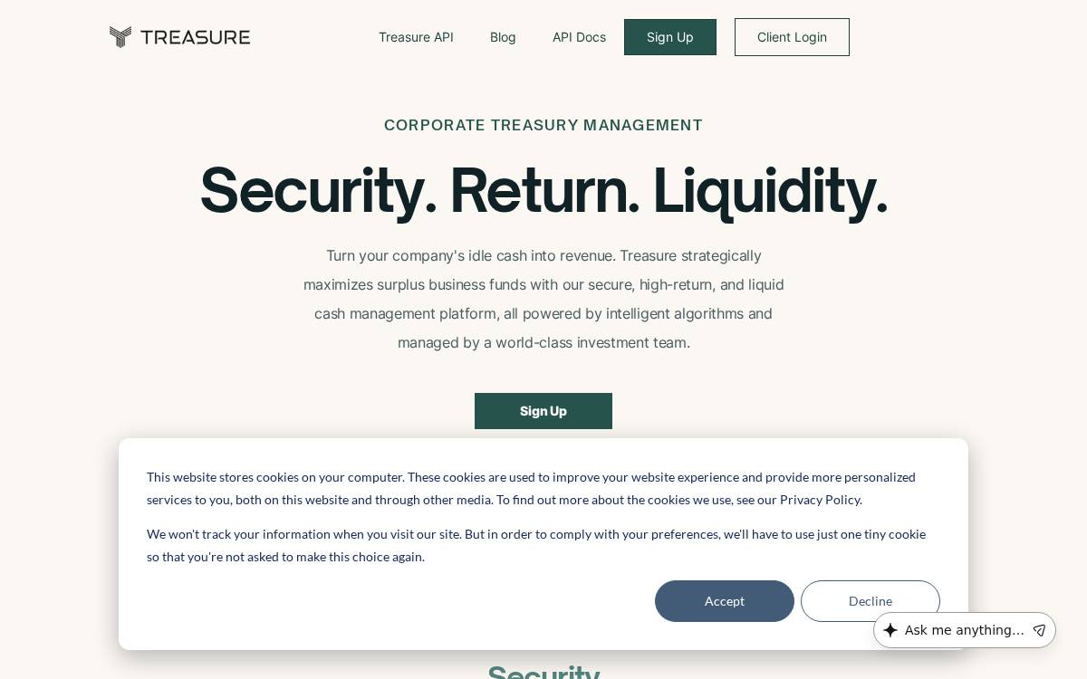 Treasure website preview