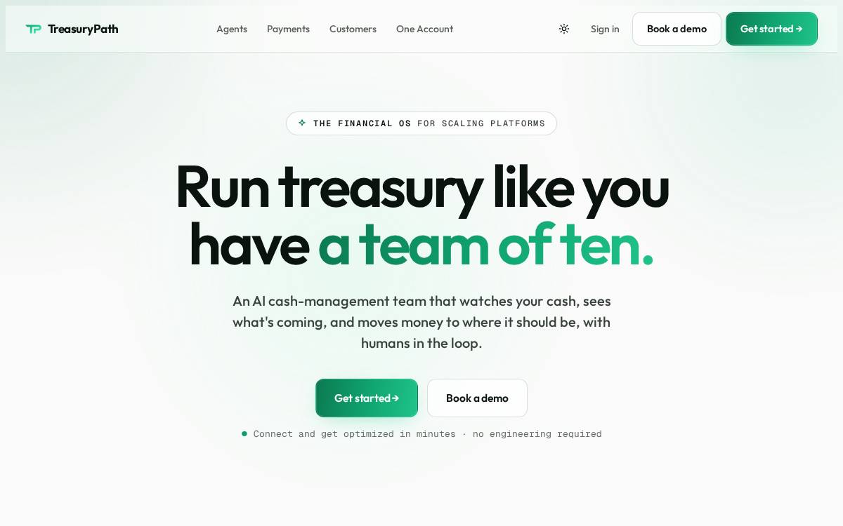 Treasurypath website preview