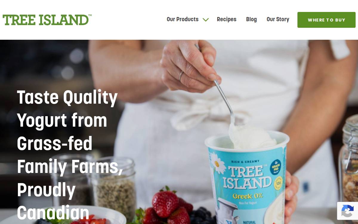 Treeislandyogurt website preview