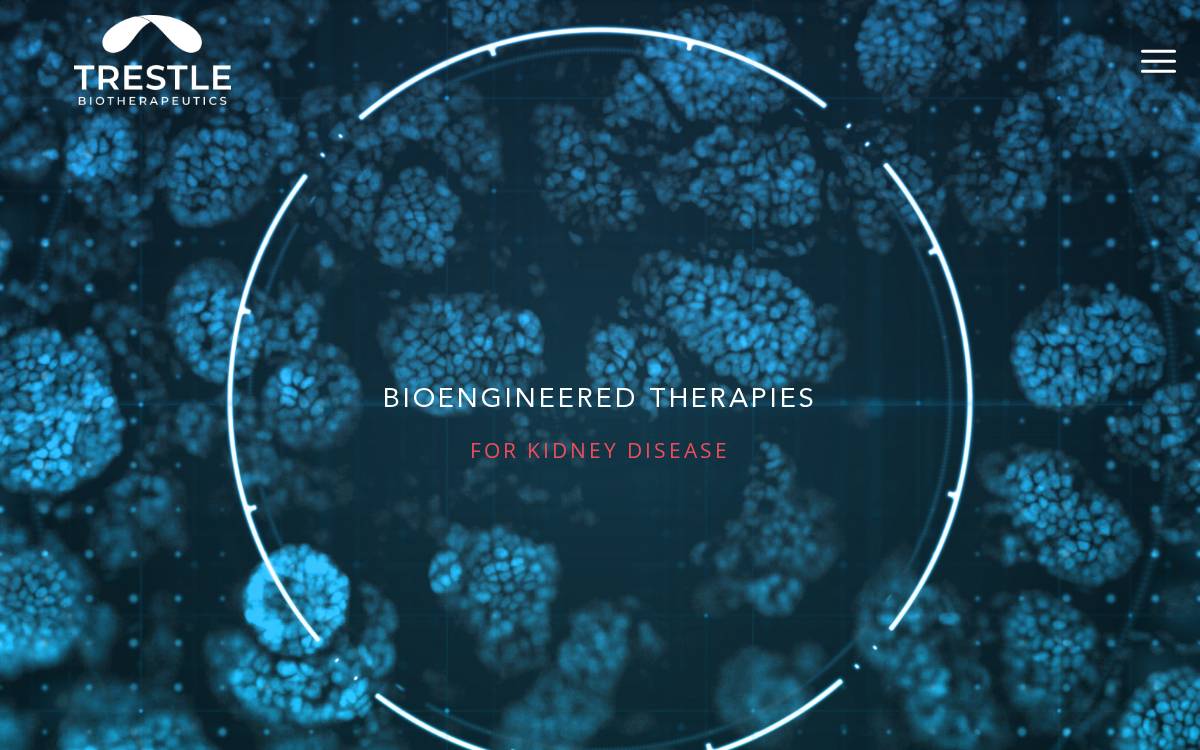 Trestle Biotherapeutics website preview