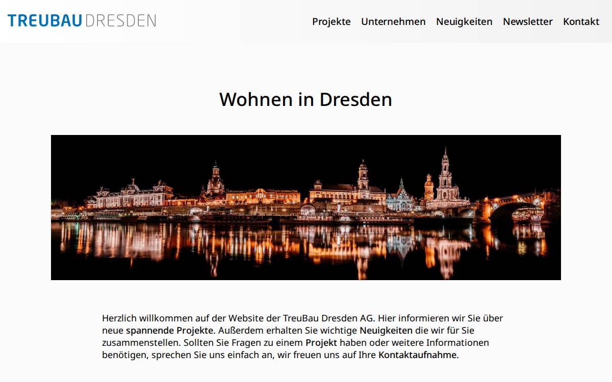 TreuBau website preview