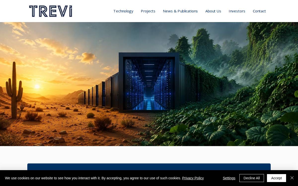 Trevi Systems website preview