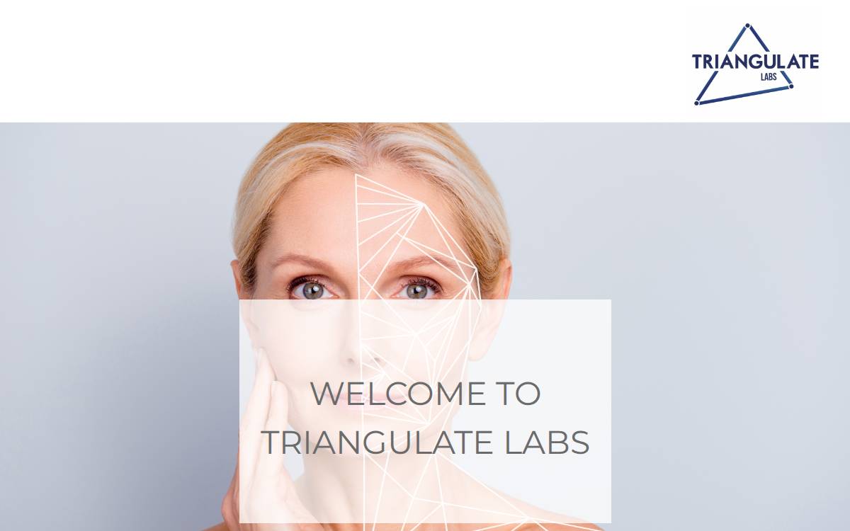 Triangulate Labs website preview
