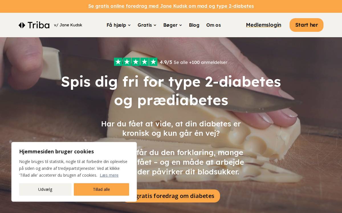 Triba website preview