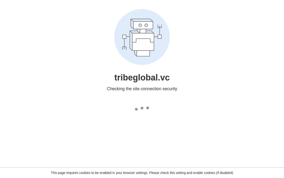 Tribeglobal website preview