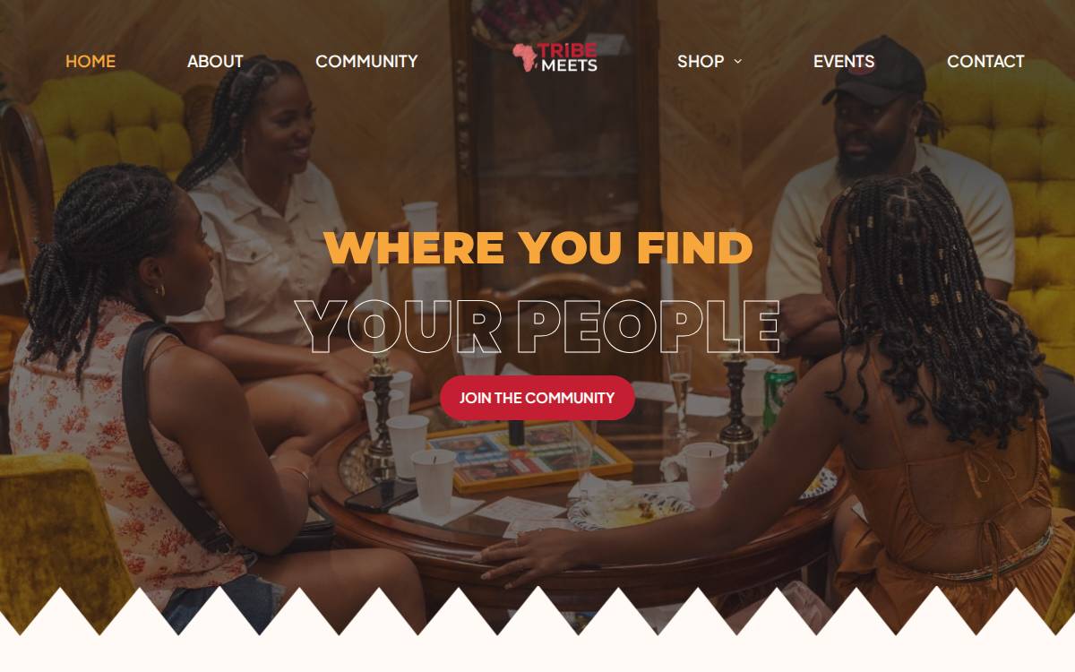 TribeMeets website preview