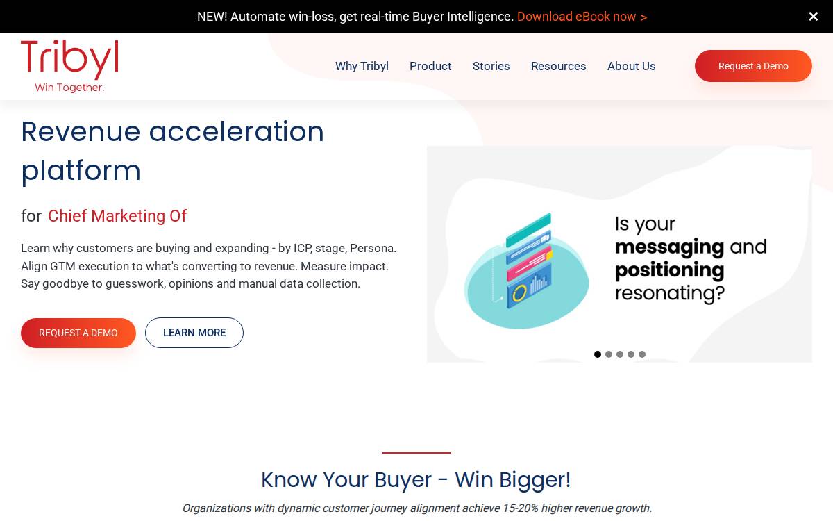 Tribyl website preview