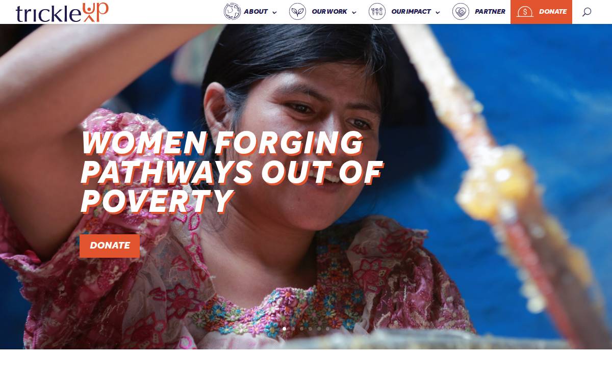 Trickle Up website preview