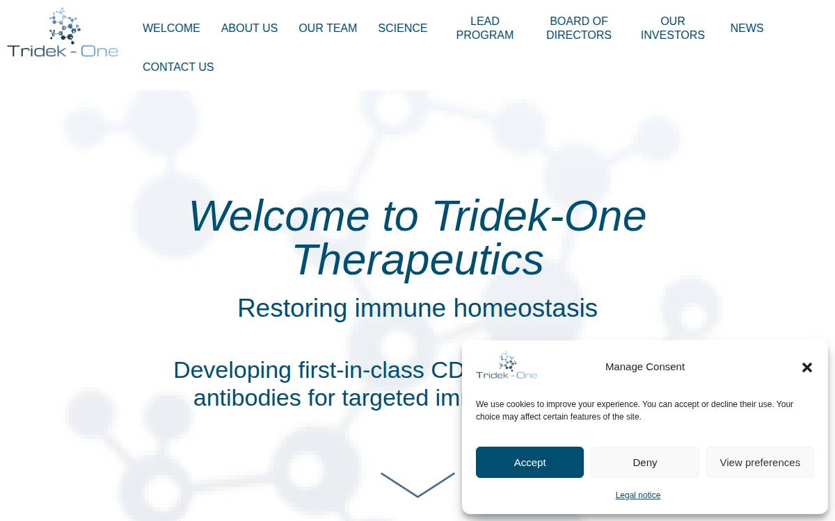 Tridek-One’s website website preview