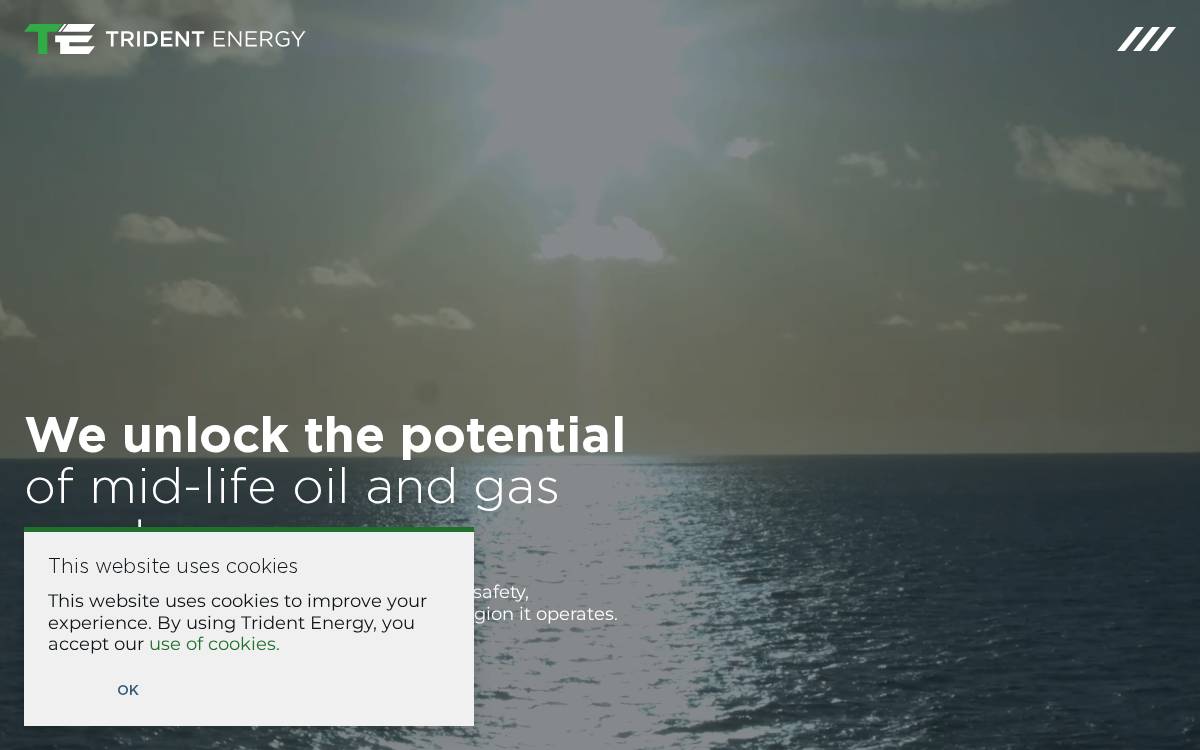 Trident Energy website preview