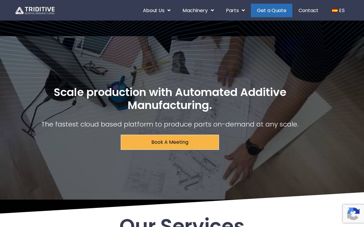TRIDITIVE website preview