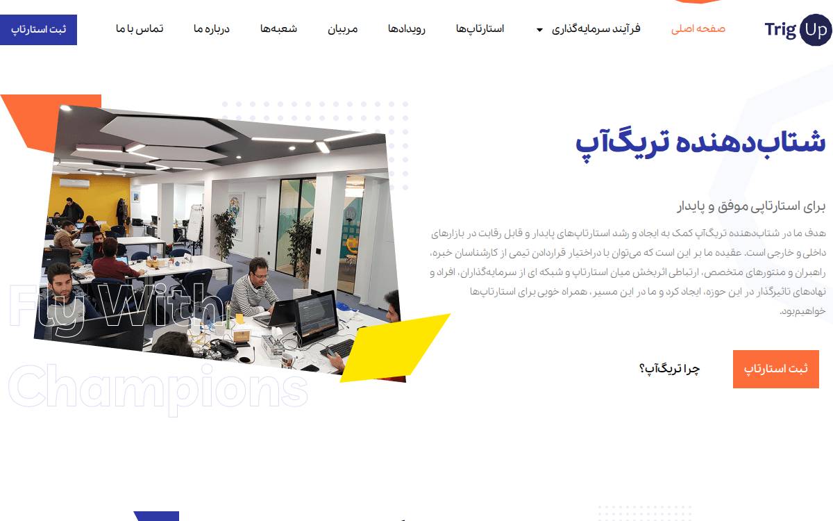 Trigup website preview