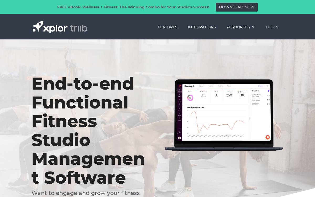 Triib website preview