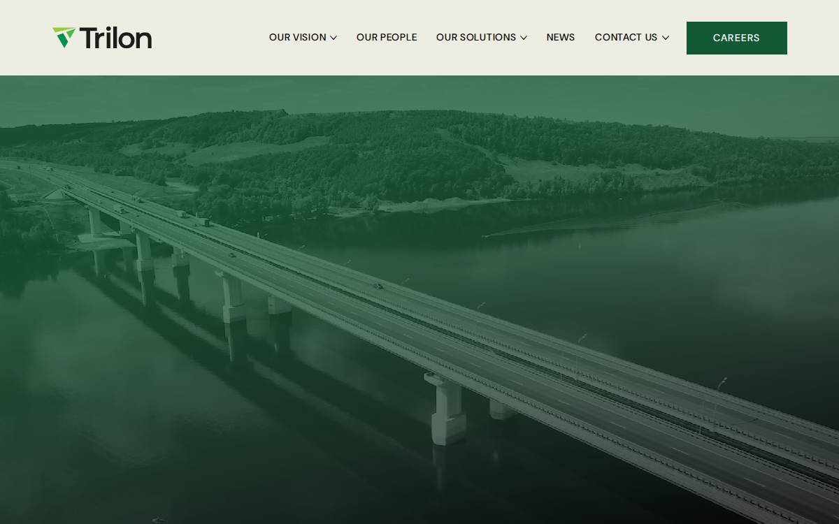 Trilon Group website preview