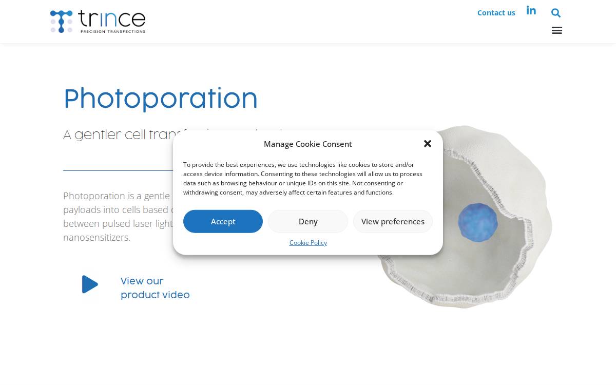 Trince website preview