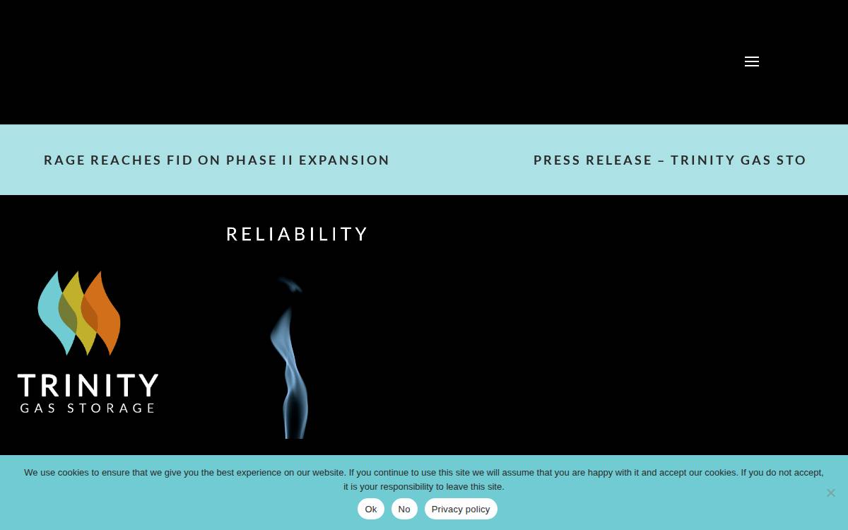 Trinitygasstorage website preview