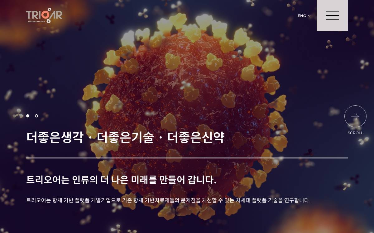 trioar Venture Capital website preview