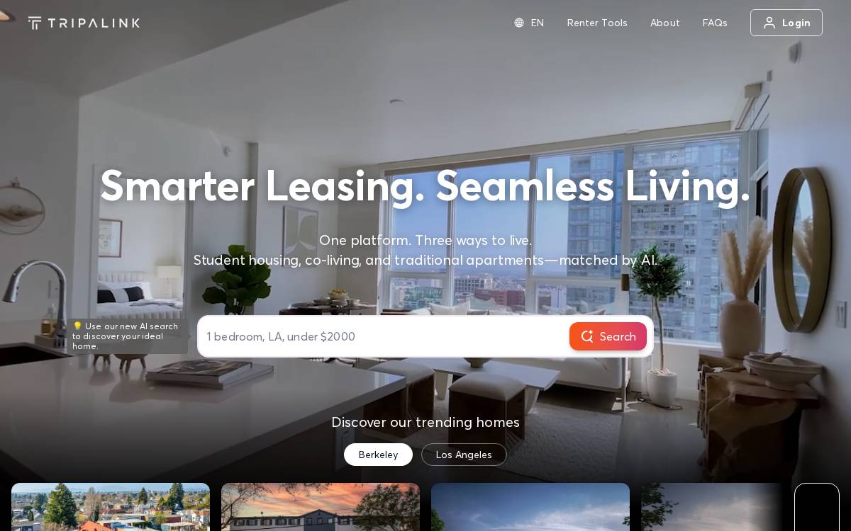 Tripalink website preview