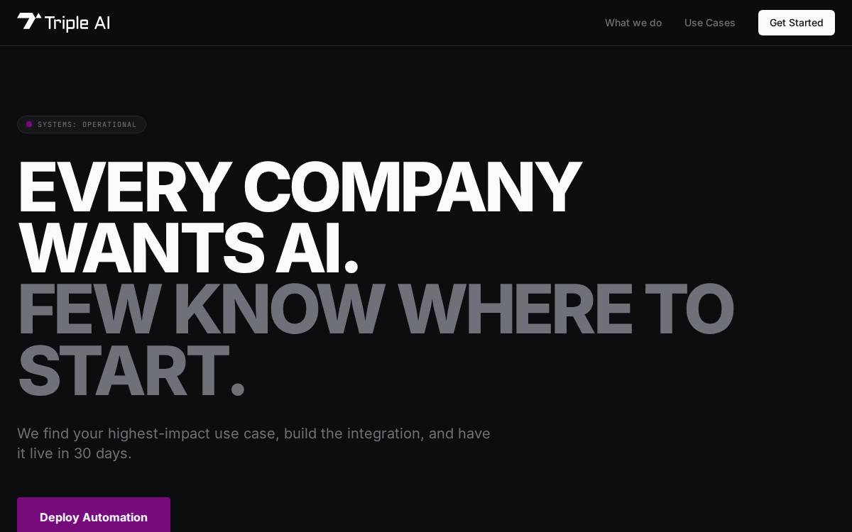 Triple AI website preview