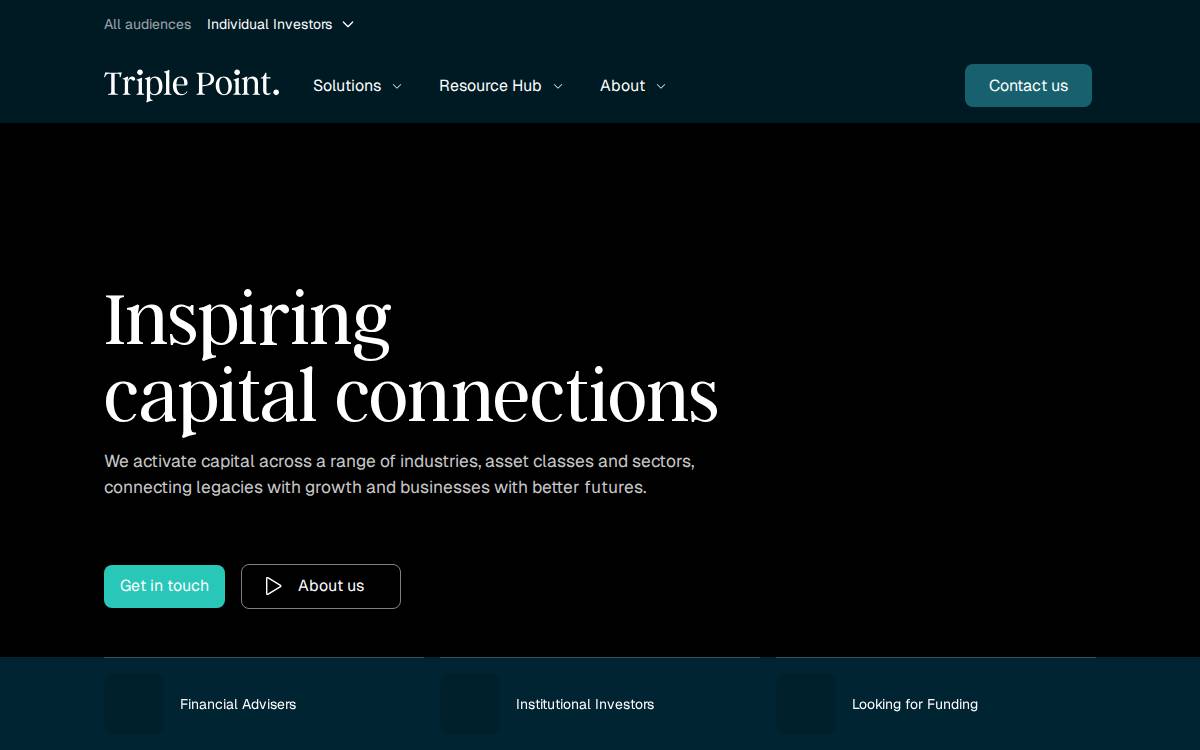 Triple Point website preview