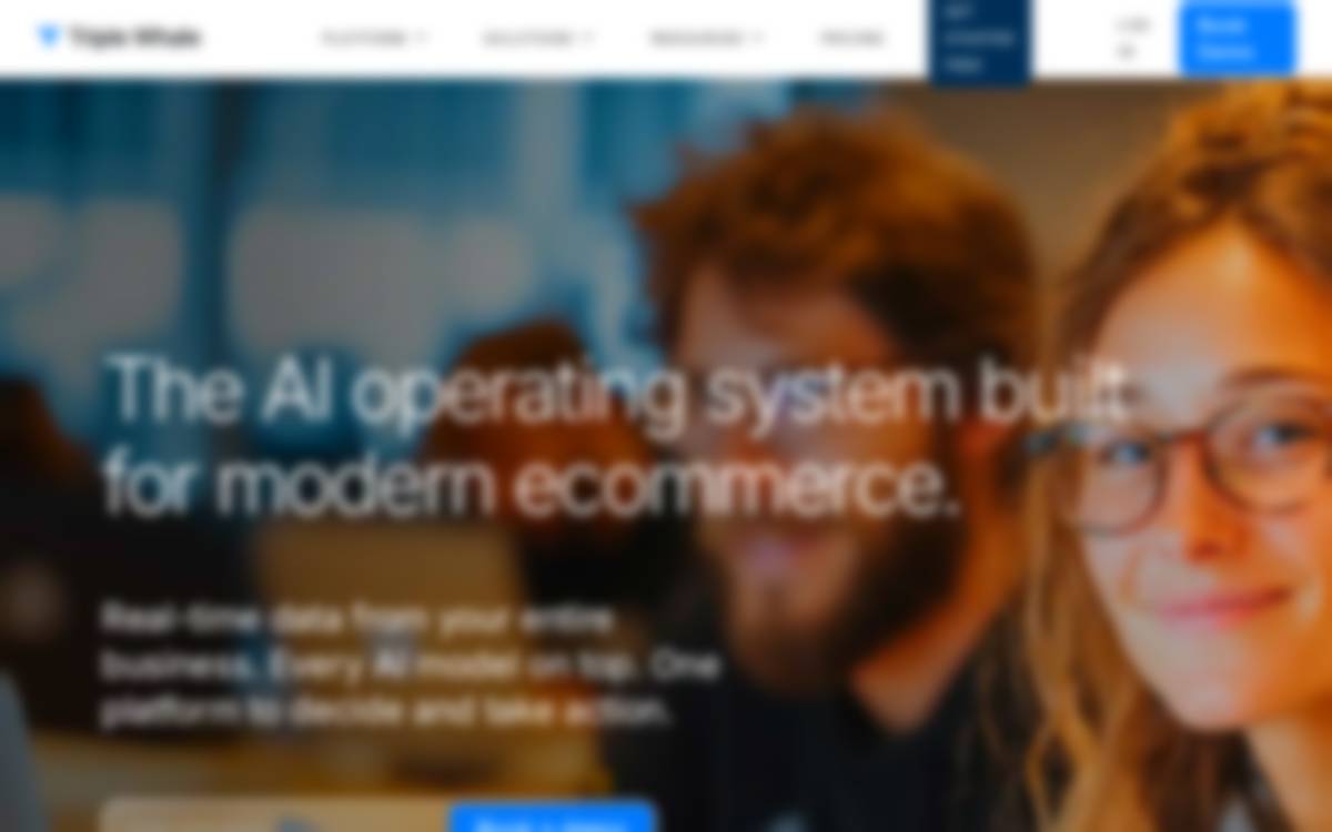 Triple Whale website preview