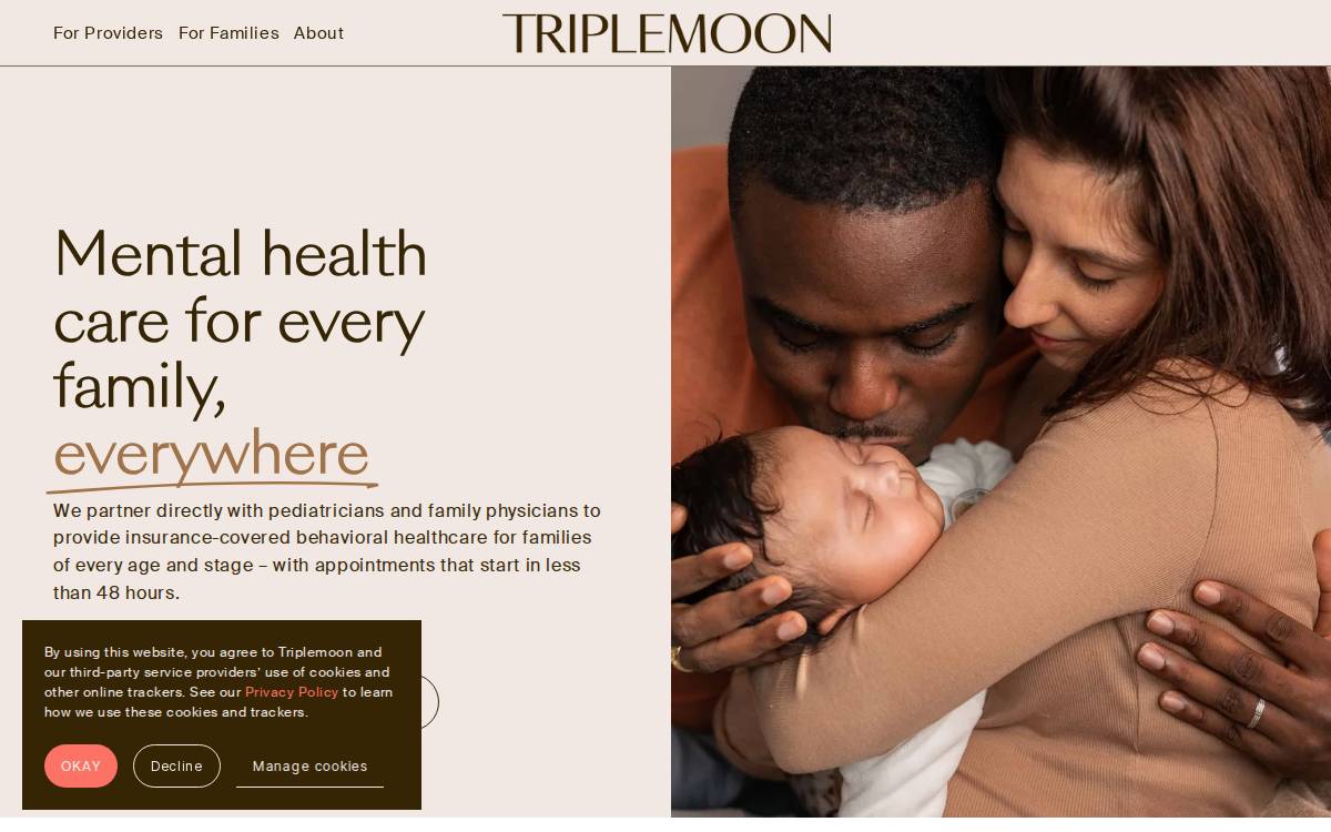 Triplemoon website preview