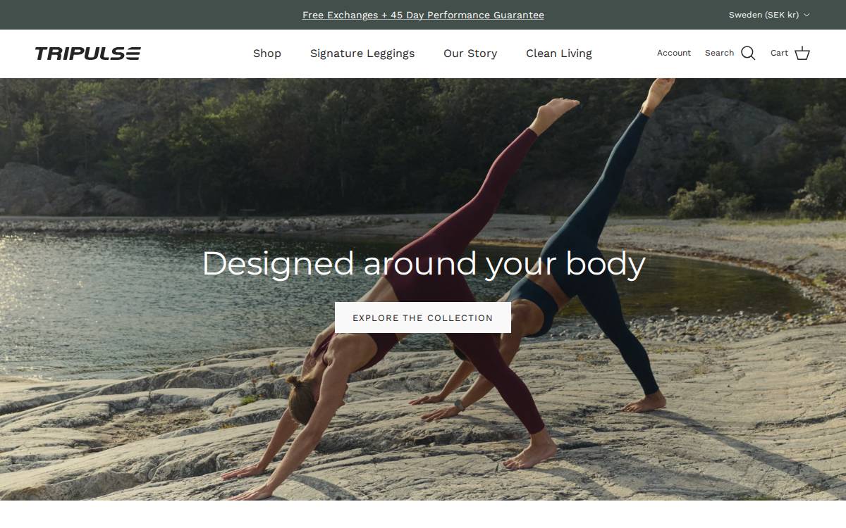 Tripulse website preview