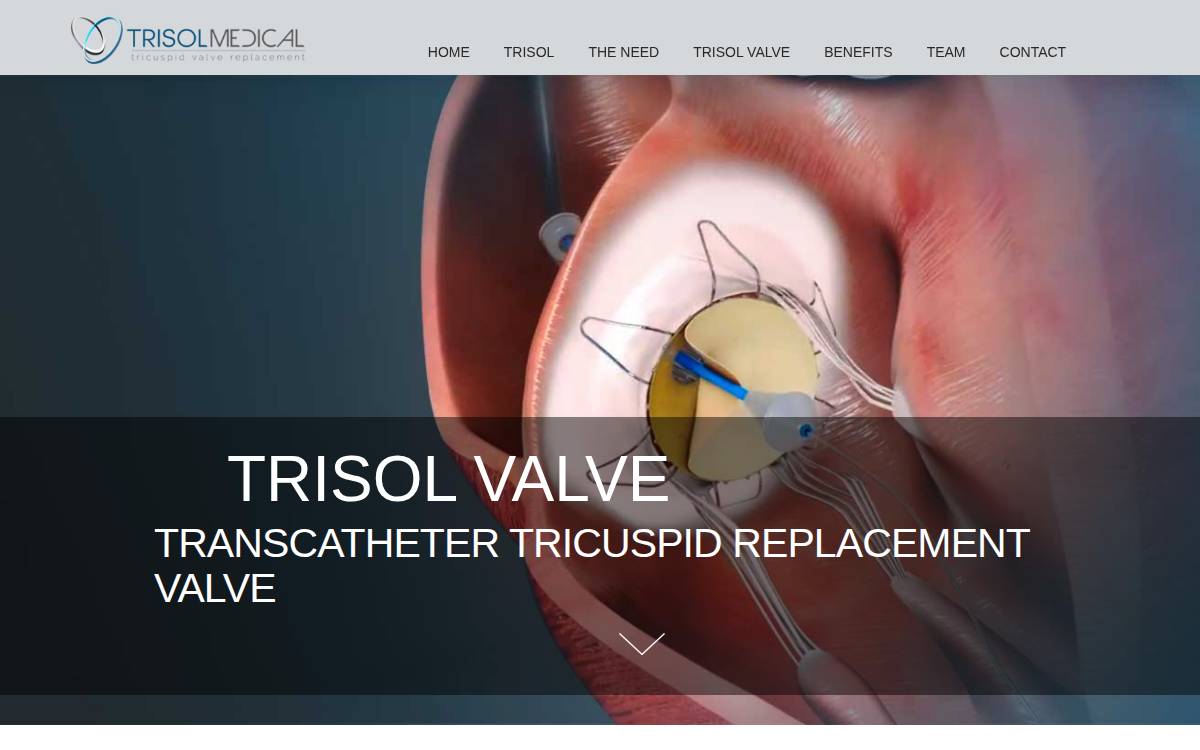 Trisol Medical website preview