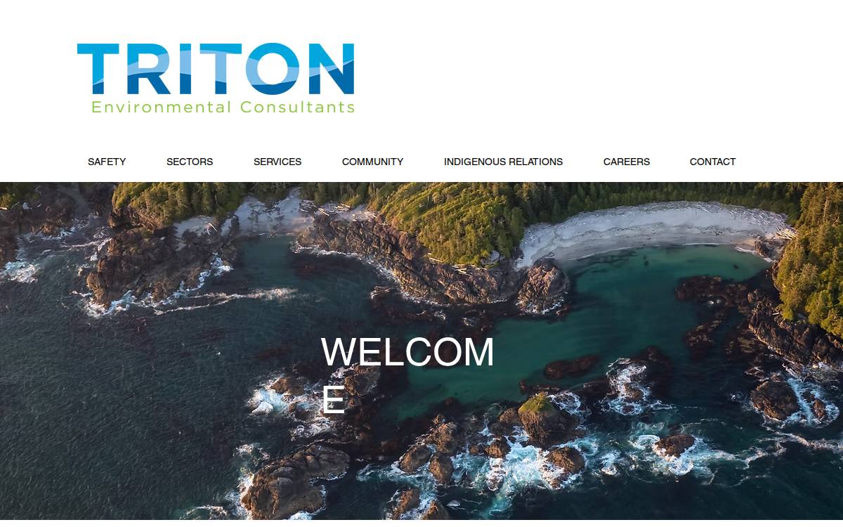 Triton Env website preview