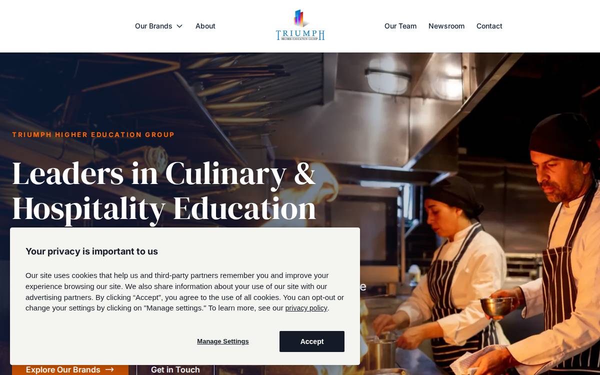 Triumph Higher Education Group website preview
