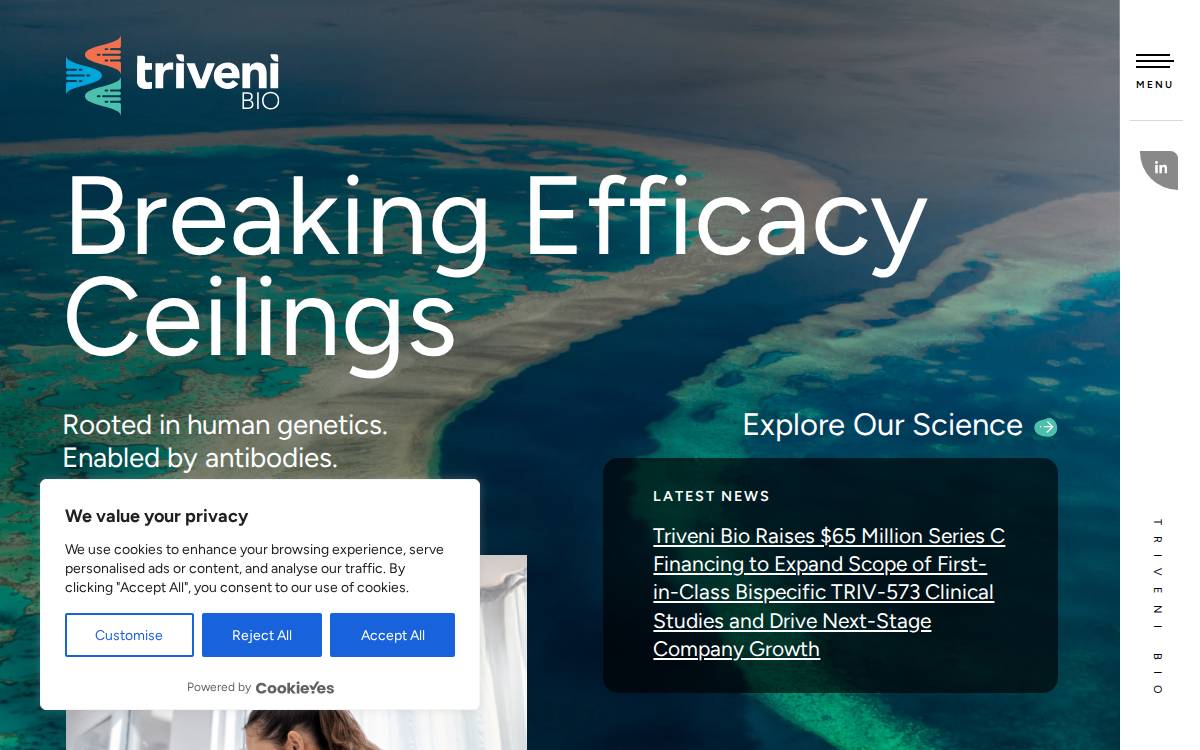 Triveni website preview