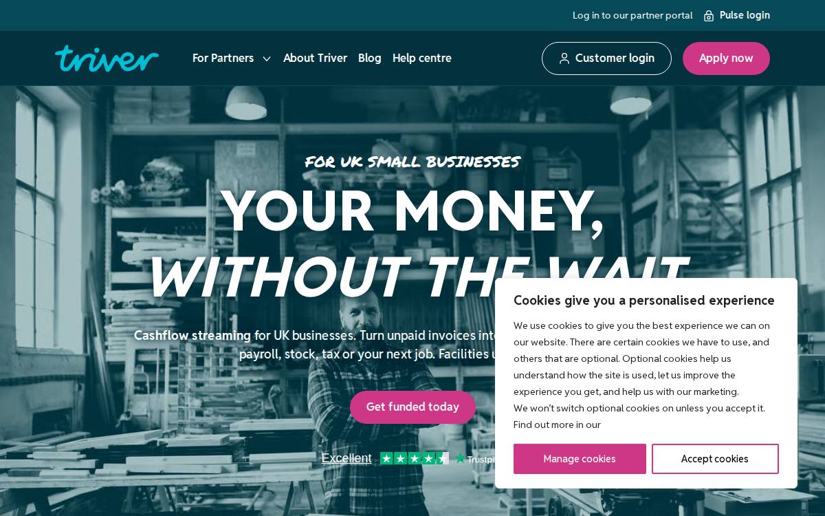 Triver website preview
