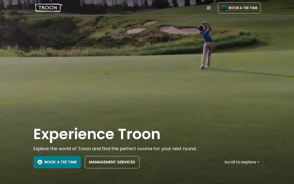 Troon website preview
