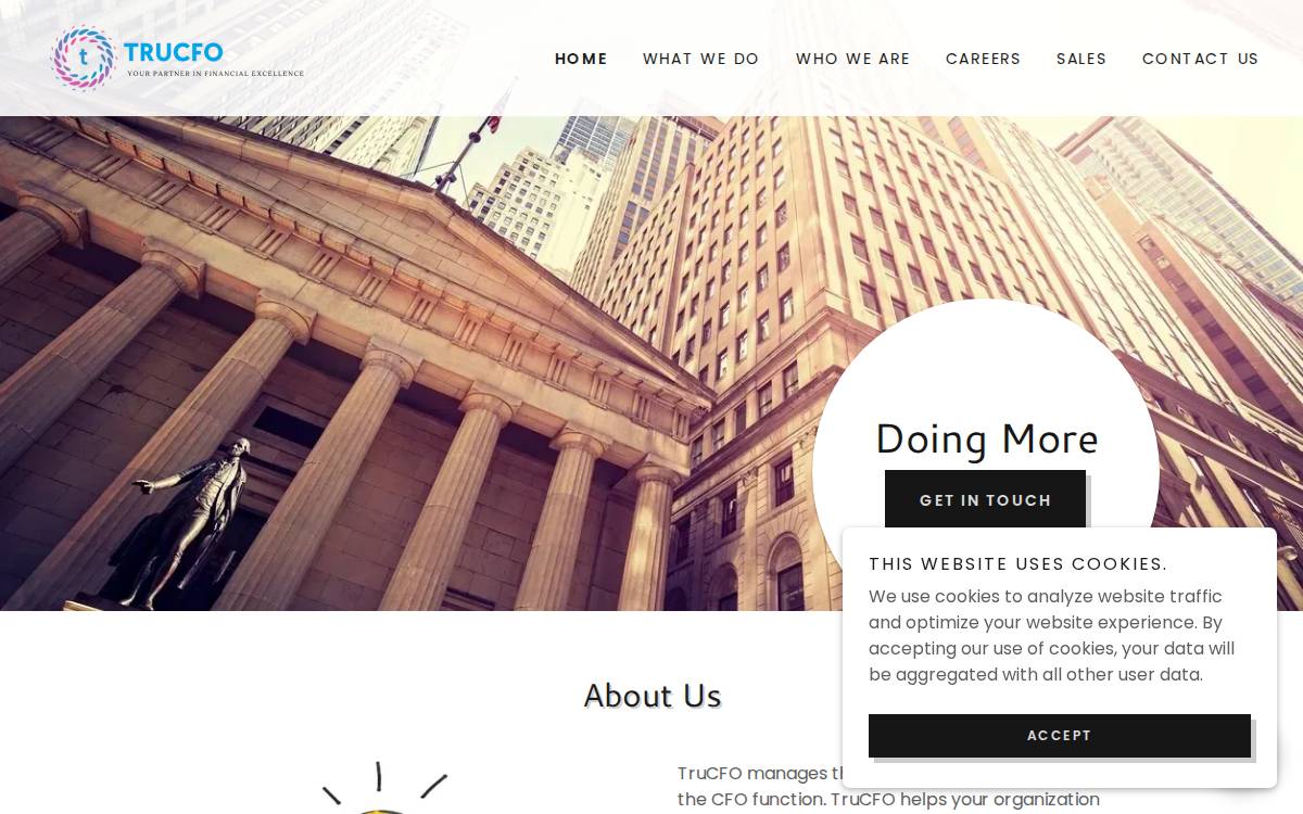 TruCFO website preview