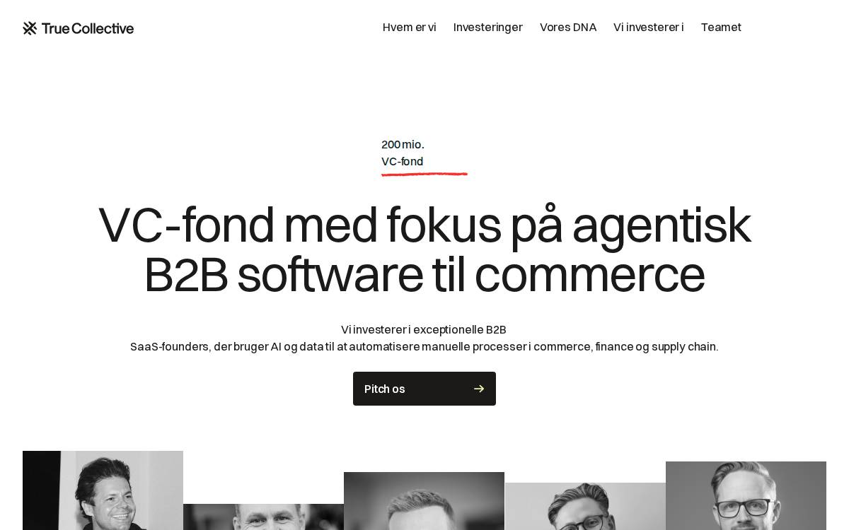 True Collective website preview