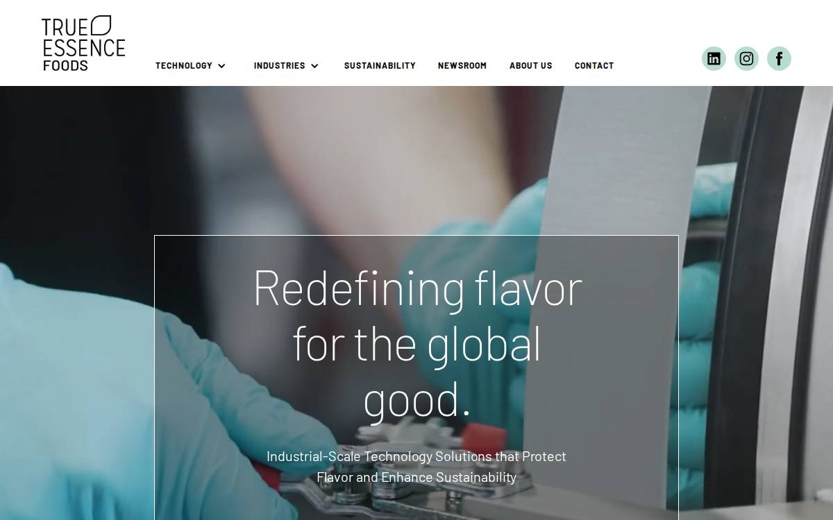 True Essence Foods website preview