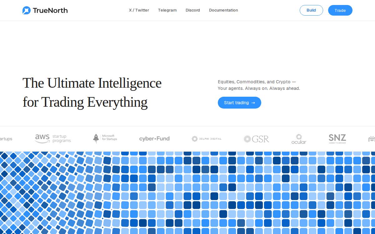 True North website preview