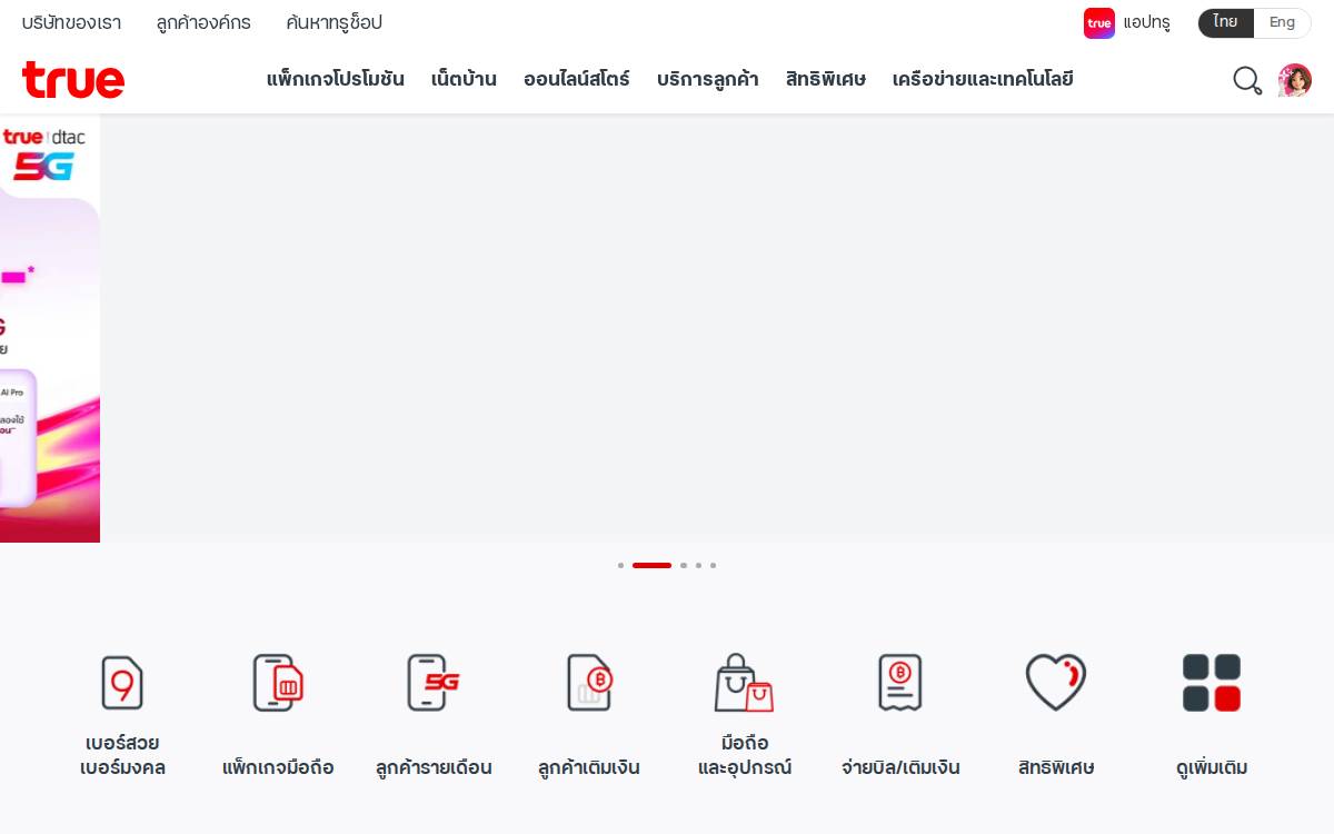 True website preview