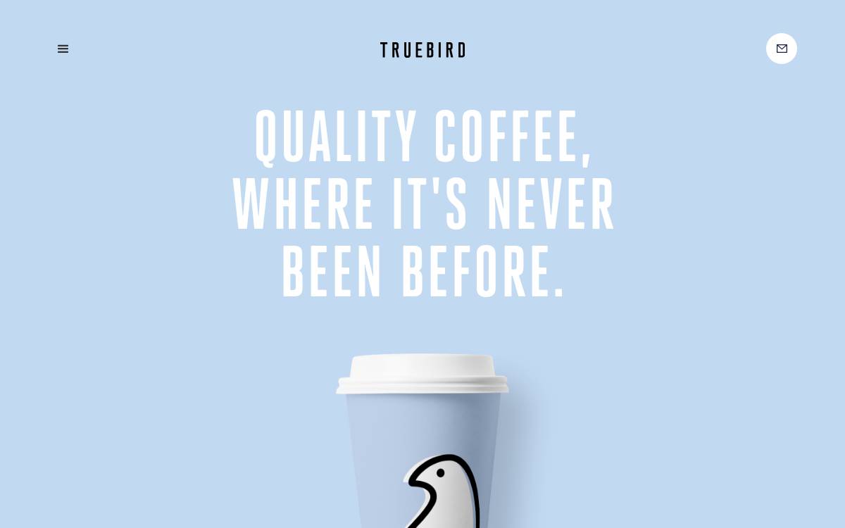 Truebird website preview